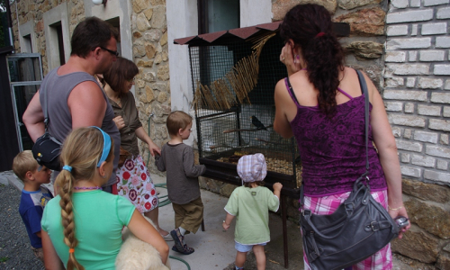 prohl&iacute;ž&iacute;me si klec s pt&aacute;čky