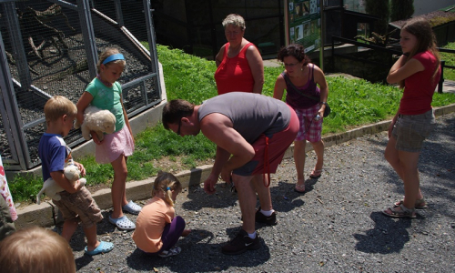 Anička na&scaron;la malu žabku (těch je teď kolem spousta)