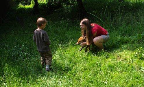 &Scaron;imon v&aacute;h&aacute;, zda pohladit rozčurděn&eacute;ho li&scaron;&aacute;ka