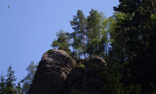 09-dravec-nad-skalami