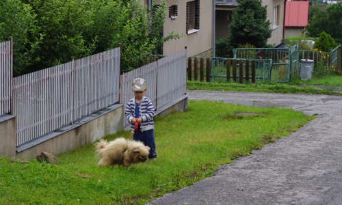Tobi&aacute;&scaron; chce v&eacute;st Bonyho s&aacute;m.