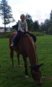 &Scaron;imon sed&iacute; na koni zcela bez pomoci.