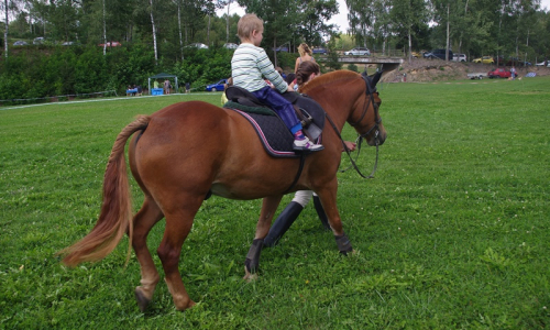&Scaron;imon jede na koni.