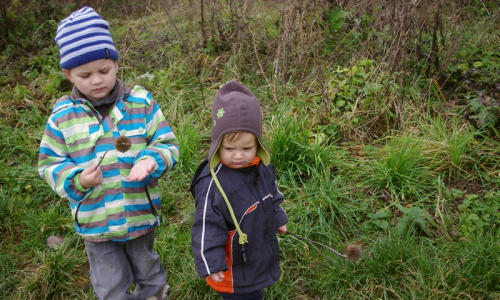 Kluci tř&iacute;maj&iacute; such&eacute; paličky bodl&aacute;ku.