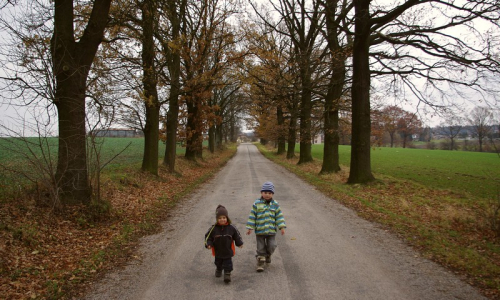 Kluci běž&iacute; hradeckou alej&iacute;.