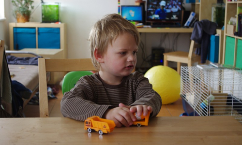 &Scaron;imon si hraje s aut&iacute;čky a za n&iacute;m prob&iacute;h&aacute; boj o Davis Cup.