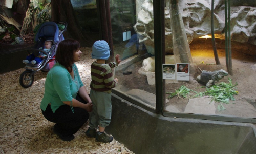 15-v-tropickem-pavilonu