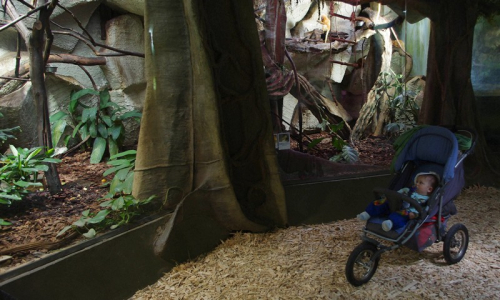 16-matoch-kouka-na-opicky