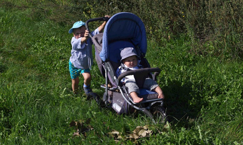 &Scaron;imon tlač&iacute; Maťocha ve vysok&eacute; tr&aacute;vě.