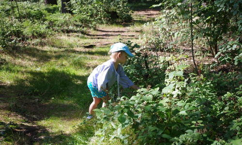&Scaron;imon mls&aacute; ostružiny, je jich tady spousta.