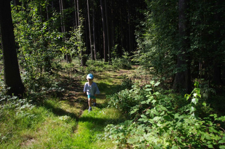 Mal&yacute; klouček s&aacute;m v lese.