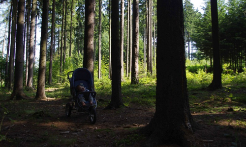 Maťoch to zalomil a sp&iacute;, my okolo hled&aacute;me houby.