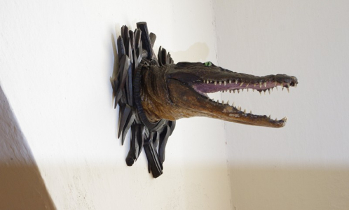 Trofej krokod&yacute;la, patrně z cest po Africe.