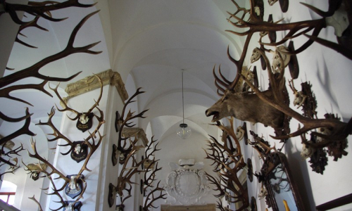 Des&iacute;tky parohů a rohů zdob&iacute; chodbu.