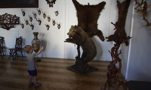 &Scaron;imon kouk&aacute; na medvěda brtn&iacute;ka.