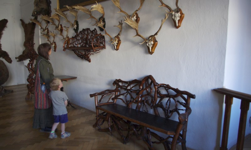 &Uacute;žasn&yacute; n&aacute;bytek z kořenů lesn&iacute;ch stromů.