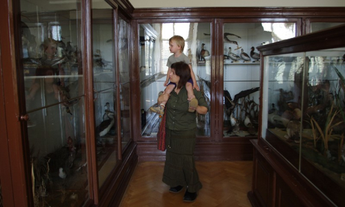 Prohl&iacute;dka byla n&aacute;ročn&aacute;, takže &Scaron;imon musel na kon&iacute;ka.