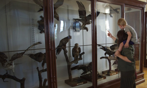 Pt&aacute;ci, to je něco pro amat&eacute;rsk&eacute; pozn&aacute;vače zv&iacute;řat.