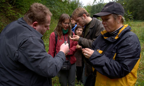 Prohl&iacute;žen&iacute; od&scaron;těpků erlanu.