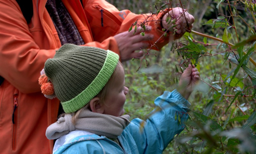 &Scaron;imon nad&scaron;eně puk&aacute; netykavky.