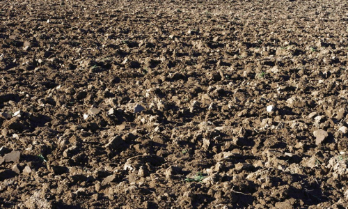 Oranice v podzimn&iacute;m slunci vytv&aacute;ř&iacute; kr&aacute;snou texturu.