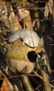S&yacute;korka se krm&iacute; na krm&iacute;tku pod l&iacute;skou.