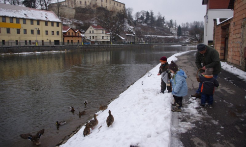 Kluci se pustili do krmen&iacute; kačen na S&aacute;zavě.