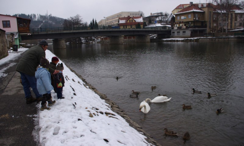Krmen&iacute; pro kačeny maj&iacute; kluci dost.