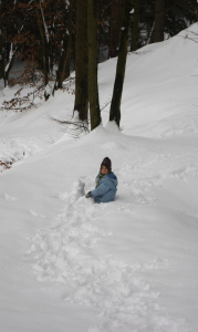 Kr&aacute;tk&aacute; zast&aacute;vka, &Scaron;imon děl&aacute; sněhul&aacute;ka.