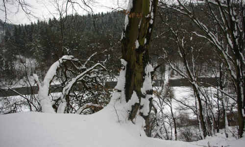 Pohled na S&aacute;zavu ze zř&iacute;ceniny.