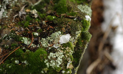 Sn&iacute;h na sk&aacute;le pomalu ustupuje.