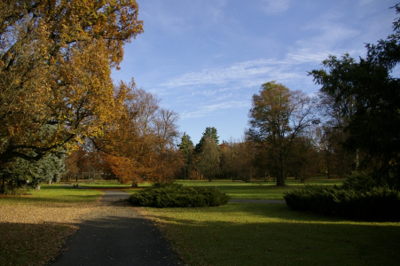 Lesopark ve Světl&eacute; nad S&aacute;zavou je ide&aacute;ln&iacute; pro proch&aacute;zku s dětmi.