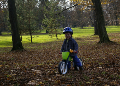 Spokojen&yacute; Matěj na odr&aacute;žedle v podzimn&iacute;m list&iacute;.