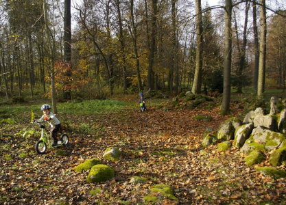 Bl&iacute;ž&iacute;me se k rybn&iacute;kům z&aacute;plavou žlut&eacute;ho list&iacute;.