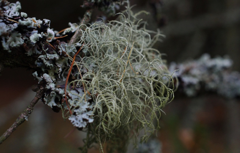 Tyhle li&scaron;ejn&iacute;ky u Vil&eacute;movic m&aacute;me hrozně r&aacute;di.