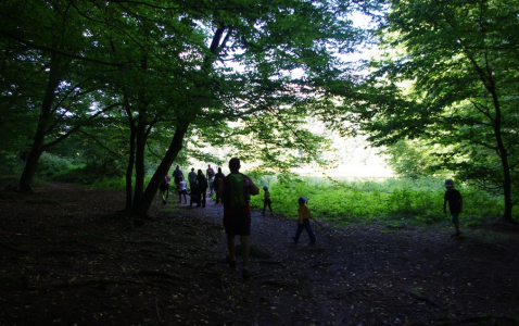 Přesunujeme se na louku.