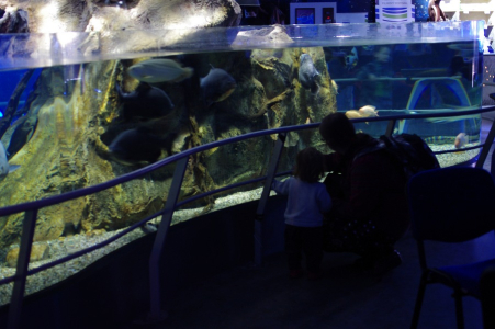 Podvodn&iacute; svět, maminka s Esterkou u n&aacute;drže.