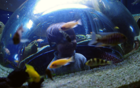 Matěj uvnitř akv&aacute;ria.