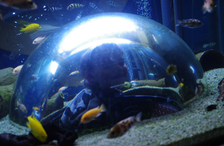 &Scaron;imon uvnitř akv&aacute;ria.