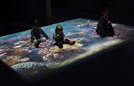 Moji and&iacute;lci.