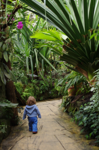 Ester kr&aacute;č&iacute; do expozice.