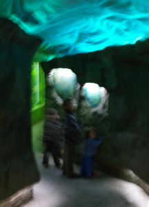 Moji kul&iacute;&scaron;ci v tunelu pod akv&aacute;riem.