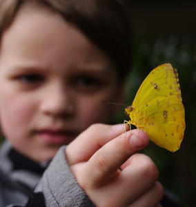 &Scaron;imonek s mot&yacute;lem na prst&iacute;ku.