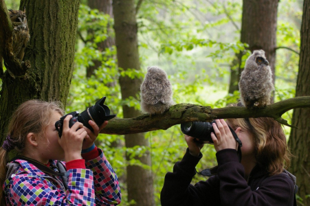Focen&iacute; zv&iacute;řat.