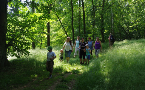 Na &Scaron;eptouchově po botanick&yacute;ch zaj&iacute;mavostech.