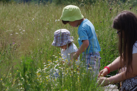 Sb&iacute;r&aacute;me heřm&aacute;nek.