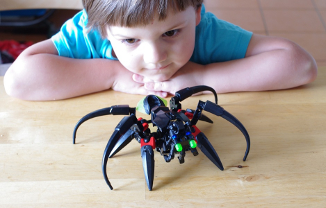 Postavil jsem s Maťo&scaron;kem pavouka.