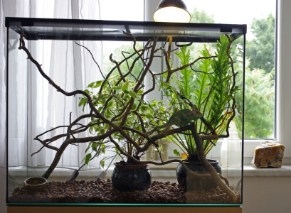 Cyril m&aacute; nov&eacute; ter&aacute;rko!