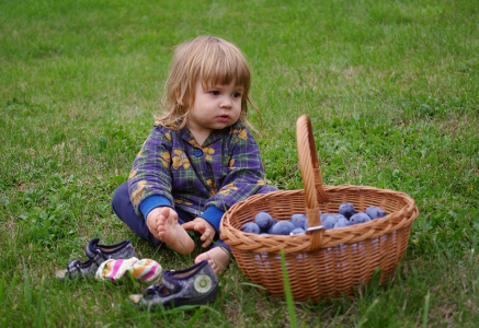 M&aacute;me sklizeno, nevypad&aacute; to nic moc, ale nakonec z toho p&aacute;r sklenic bude.