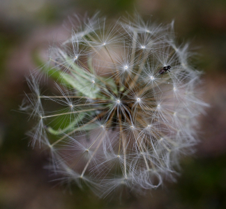 Byla jedna planeta a na n&iacute; žila mu&scaron;ka.